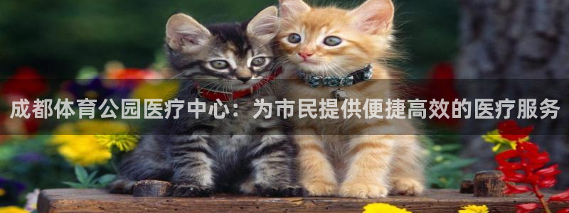 成都体育公园医疗中心：为市民提供便捷高效的医疗服务
