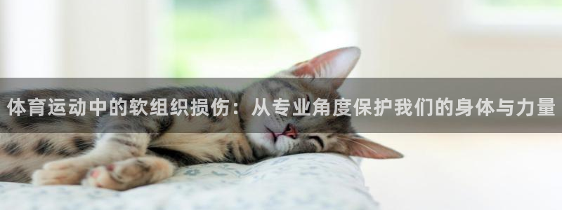 体育运动中的软组织损伤：从专业角度保护我们的身体与力量