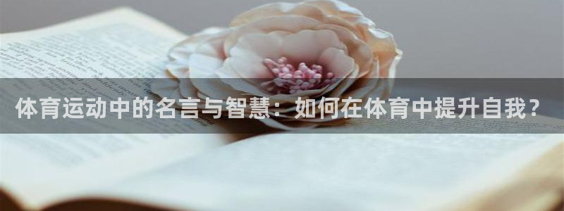 体育运动中的名言与智慧：如何在体育中提升自我？