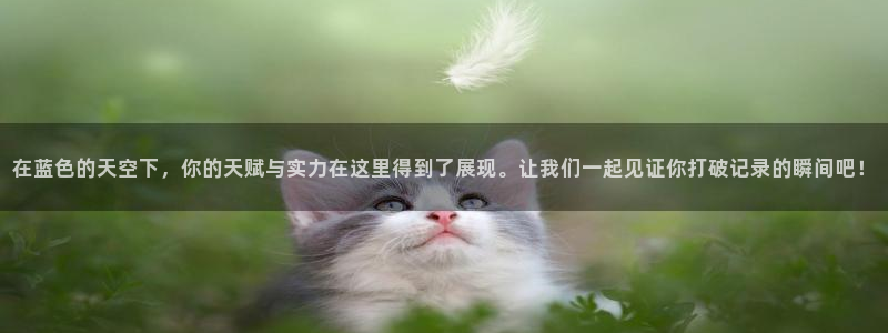 在蓝色的天空下，你的天赋与实力在这里得到了展现。让我们一起见证你打破记录的瞬间吧！
