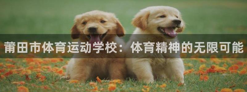 莆田市体育运动学校：体育精神的无限可能