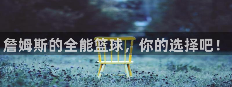 詹姆斯的全能篮球，你的选择吧！