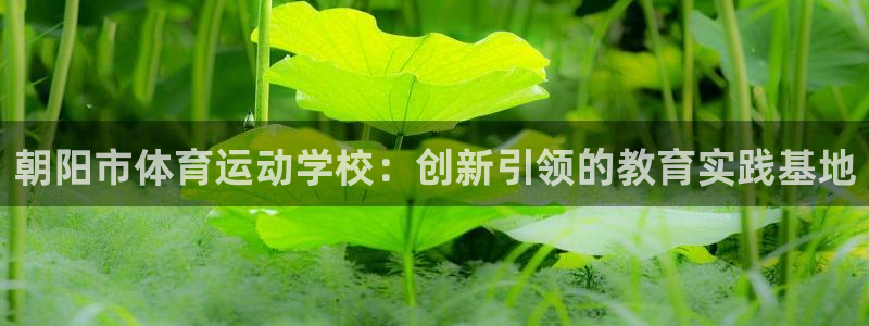 朝阳市体育运动学校：创新引领的教育实践基地