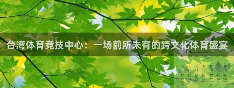 台湾体育竞技中心：一场前所未有的跨文化体育盛宴