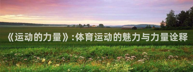 《运动的力量》:体育运动的魅力与力量诠释