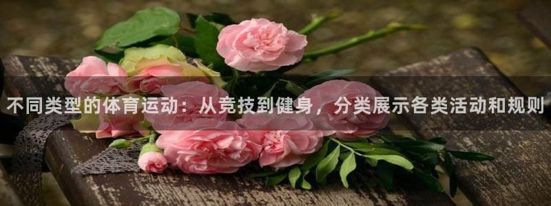 不同类型的体育运动：从竞技到健身，分类展示各类活动和规则