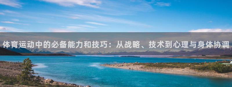 体育运动中的必备能力和技巧：从战略、技术到心理与身体协调