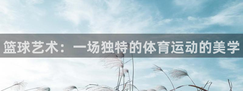 篮球艺术：一场独特的体育运动的美学