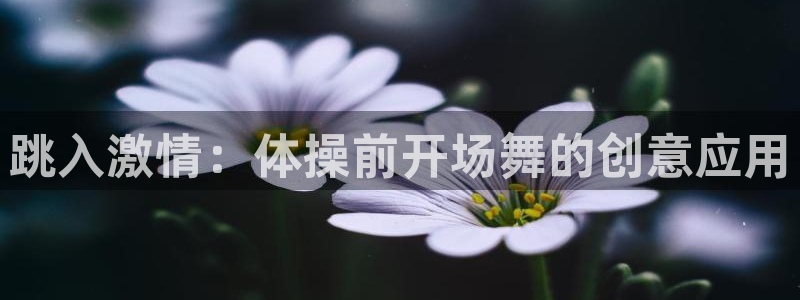跳入激情：体操前开场舞的创意应用