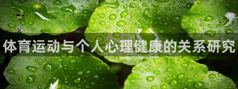 体育运动与个人心理健康的关系研究