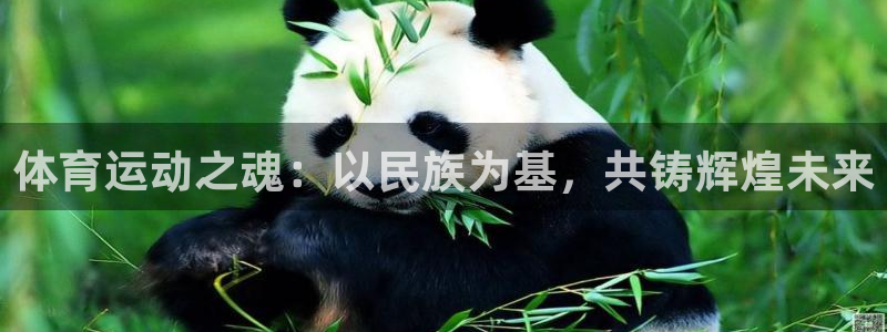 体育运动之魂：以民族为基，共铸辉煌未来