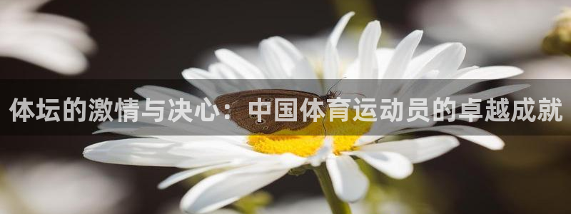 体坛的激情与决心：中国体育运动员的卓越成就