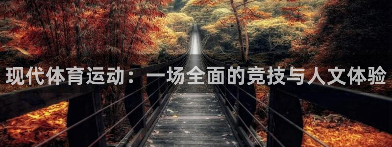 现代体育运动：一场全面的竞技与人文体验