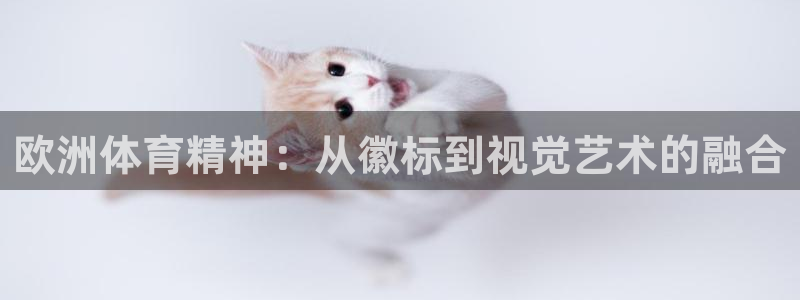 欧洲体育精神：从徽标到视觉艺术的融合