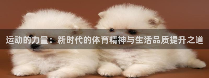 运动的力量：新时代的体育精神与生活品质提升之道