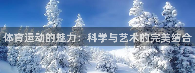 体育运动的魅力：科学与艺术的完美结合