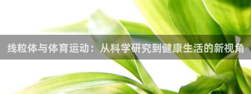 线粒体与体育运动：从科学研究到健康生活的新视角