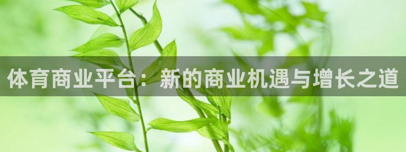 体育商业平台：新的商业机遇与增长之道