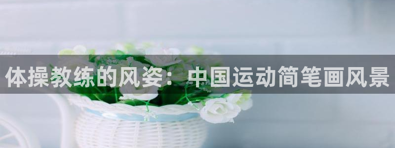 体操教练的风姿：中国运动简笔画风景