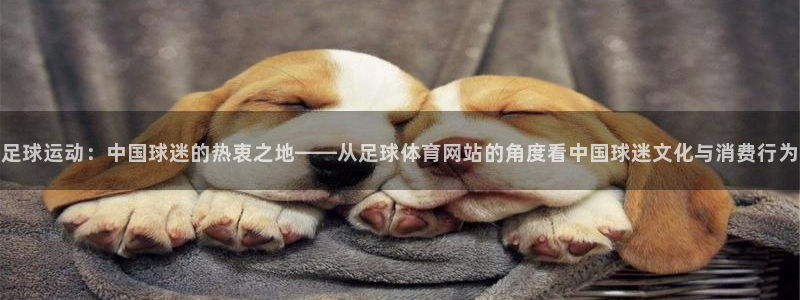 足球运动：中国球迷的热衷之地——从足球体育网站的角度看中国球迷文化与消费行为